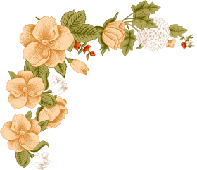 White Flower PNG Pic