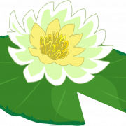 White Flower PNG Picture