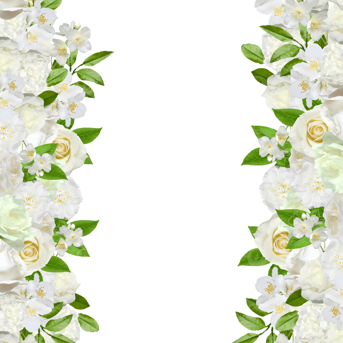 White Flower Transparent