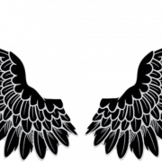 Wing PNG Clipart