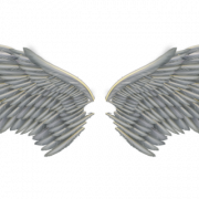 Wing PNG File