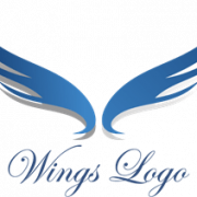Wing PNG Image File