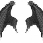 Wing PNG Images