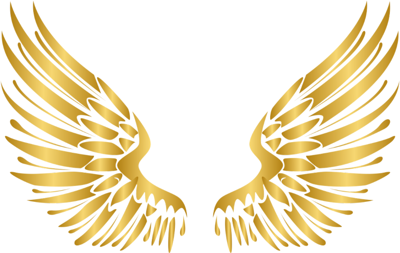 Wing PNG Images HD