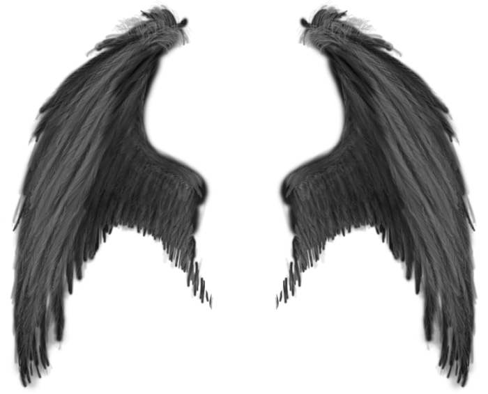Wing PNG Images