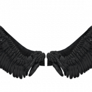 Wing PNG Photo