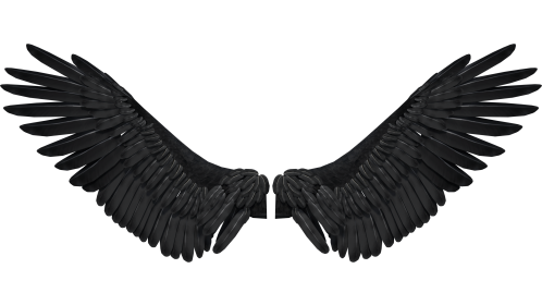 Wing PNG Photo