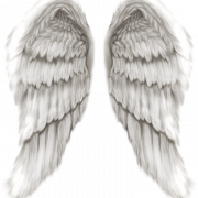 Wing PNG Picture