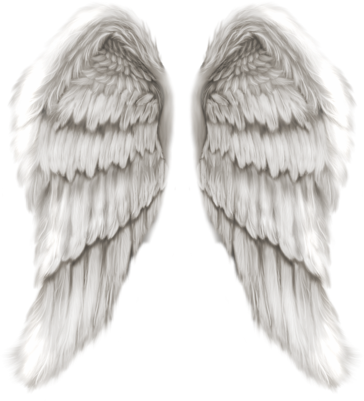 Wing PNG Picture