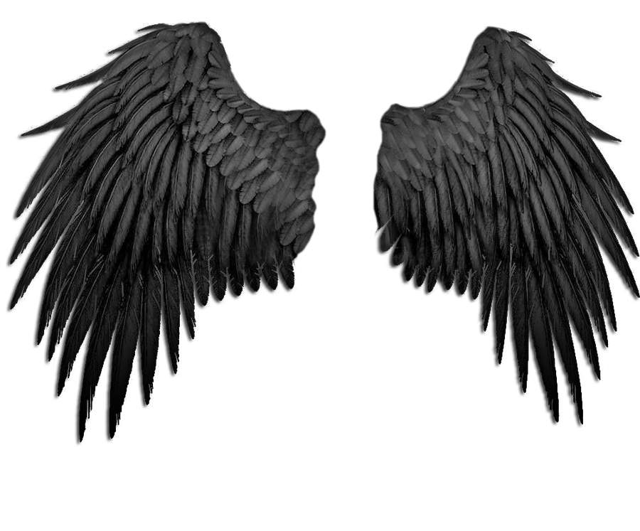 Wing PNG