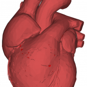 3D Heart PNG Picture