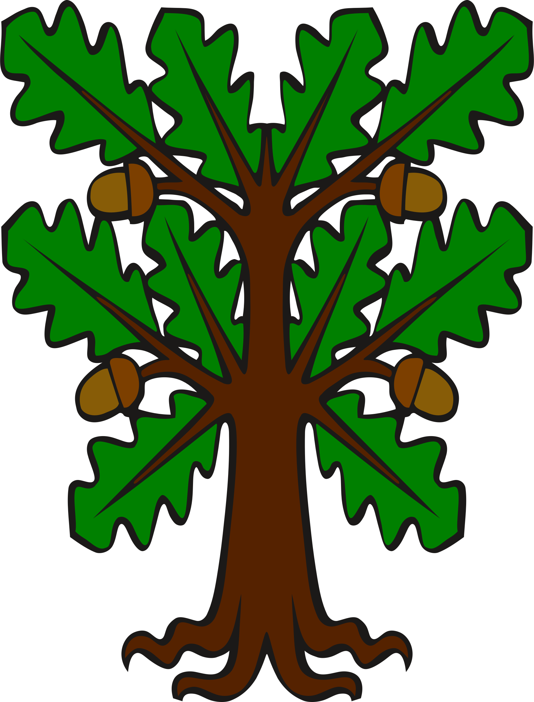 Acorn Oak PNG File