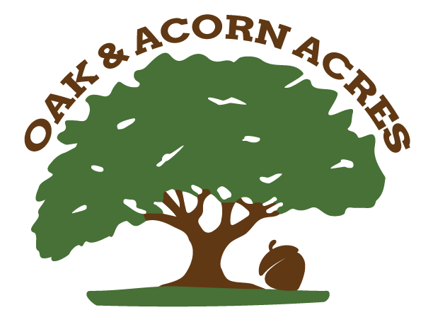 Acorn Oak PNG Images