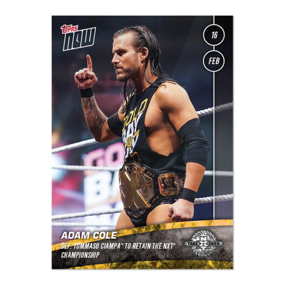 Adam Cole PNG Photo - PNG All | PNG All