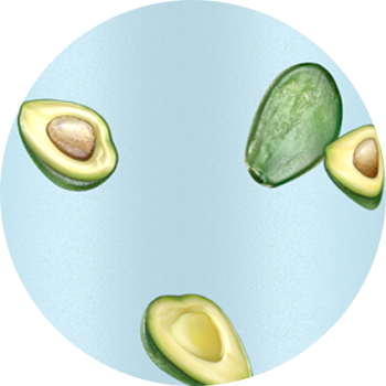 Aesthetic Avocado PNG Images HD