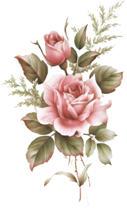 Aesthetic Flower Background PNG