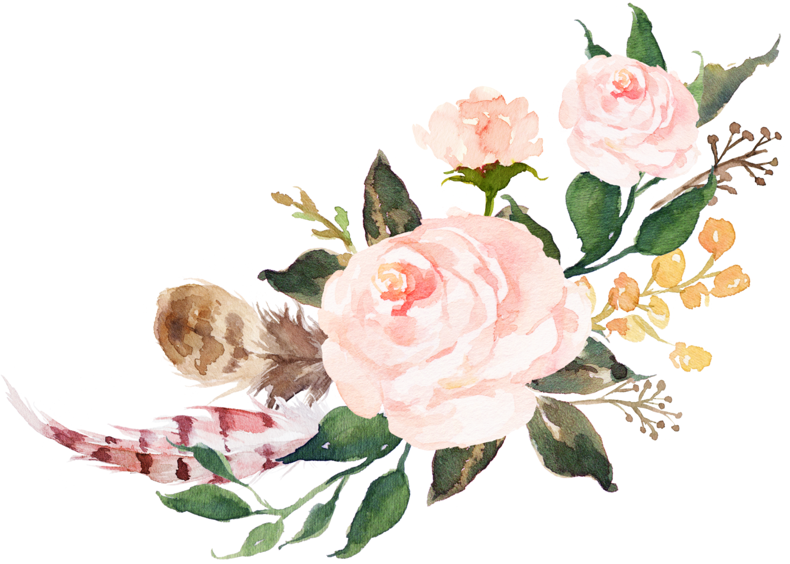 Aesthetic Flower PNG Free Image