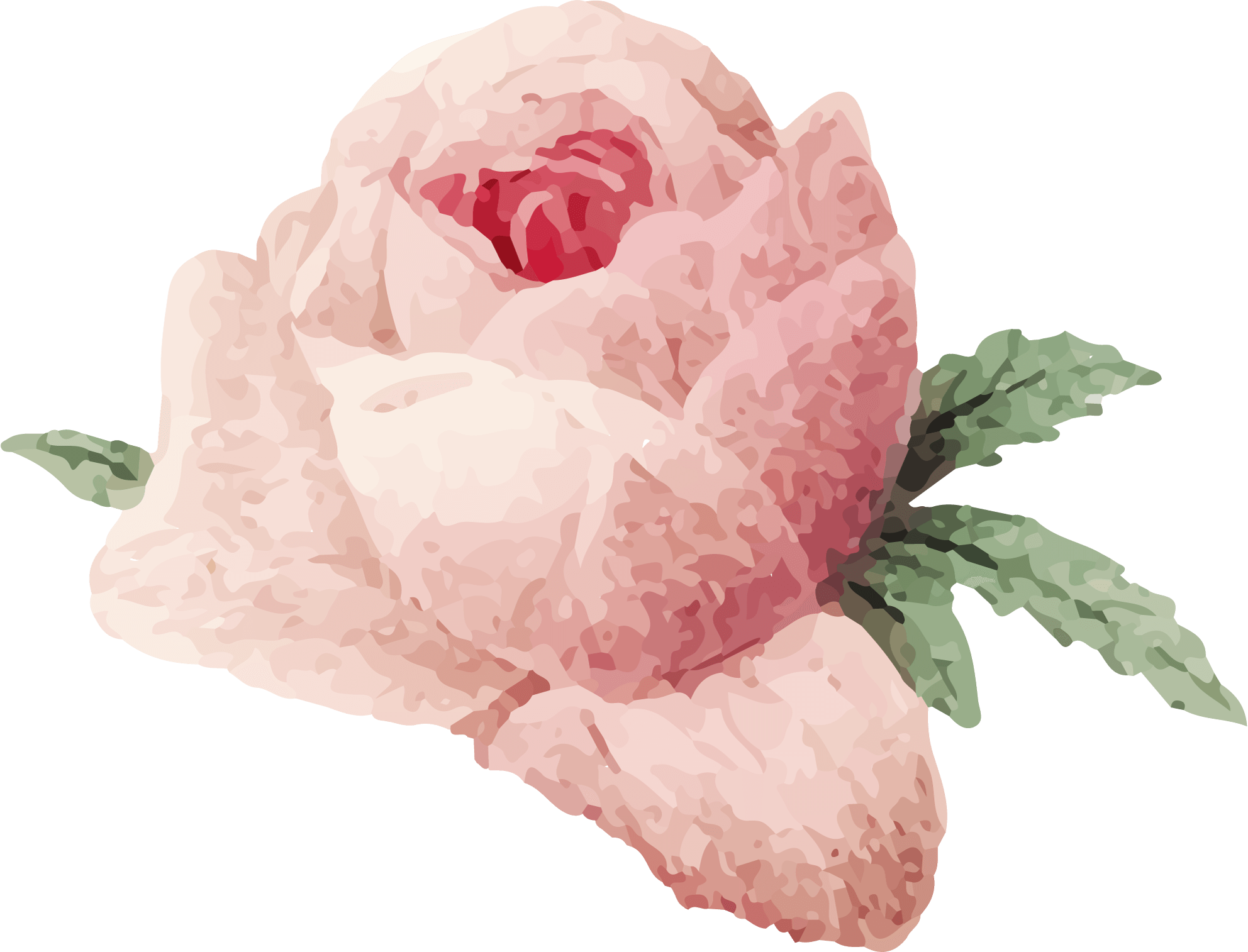 Aesthetic Flower PNG Image File