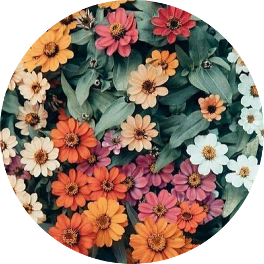 Aesthetic Flower PNG Image