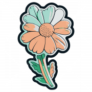 Aesthetic Sticker PNG Photos