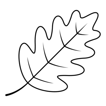Autumn Leaf PNG Cutout
