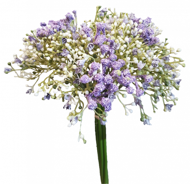 Baby's Breath Flower PNG HD Image
