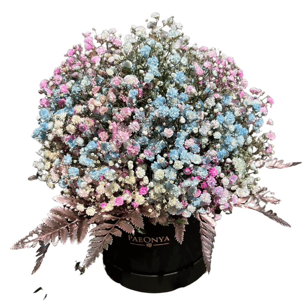 Baby's Breath Flower PNG Image HD