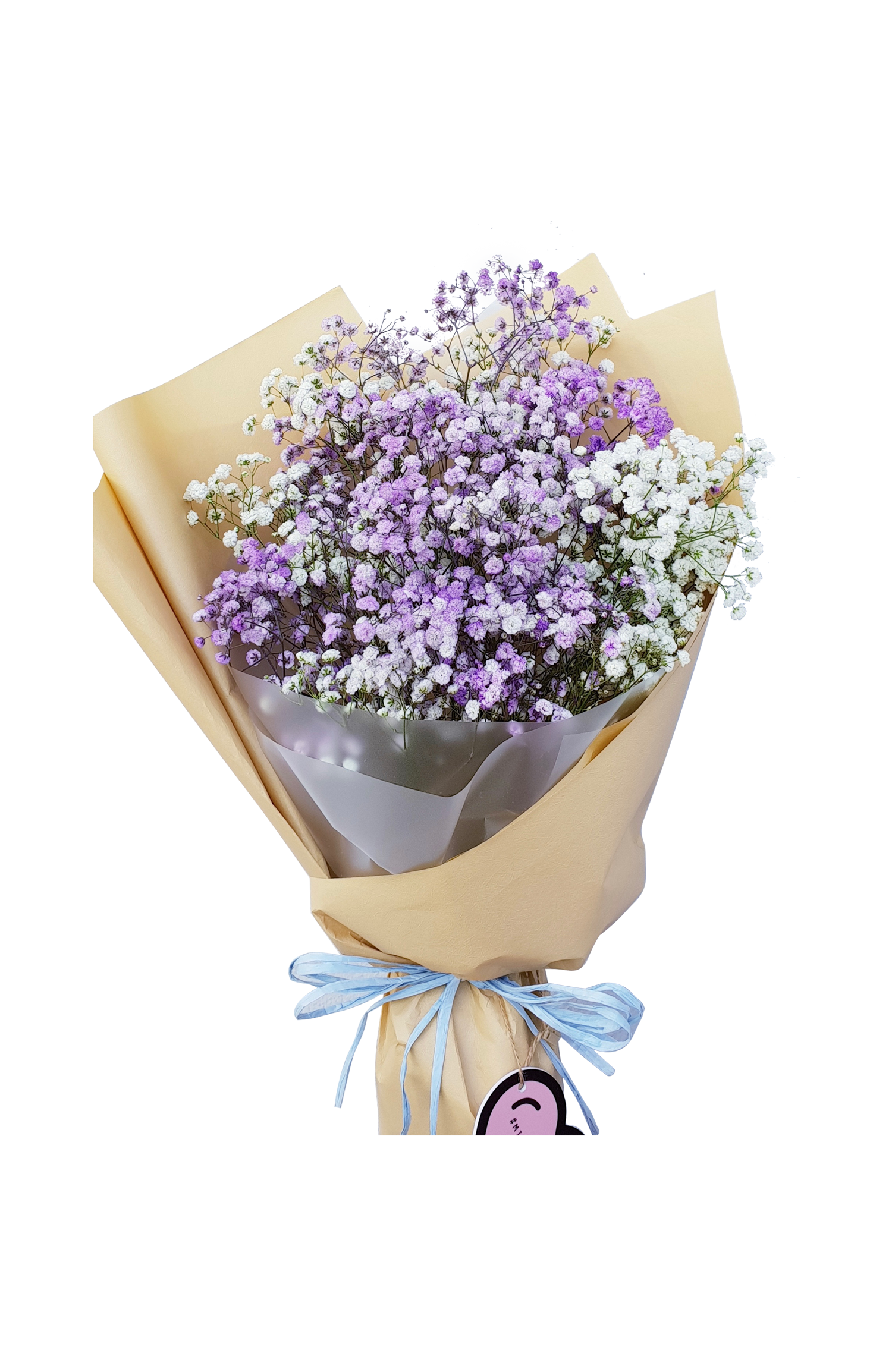 Baby's Breath Flower PNG Pic