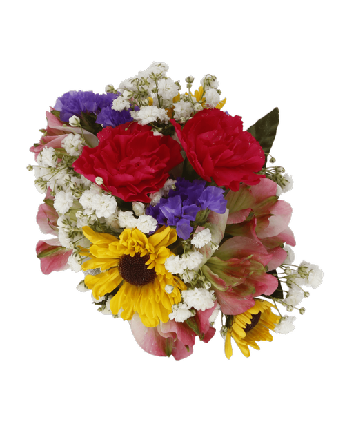 Baby's Breath Flower PNG Picture
