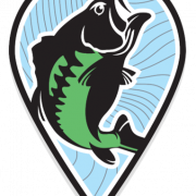 Bass Fish PNG Clipart