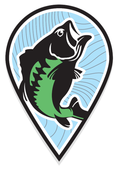 Bass Fish PNG Clipart