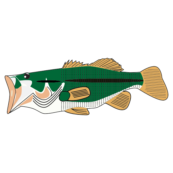 Bass Fish PNG Image File