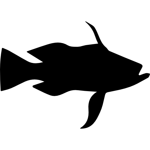 Bass Fish PNG Picture