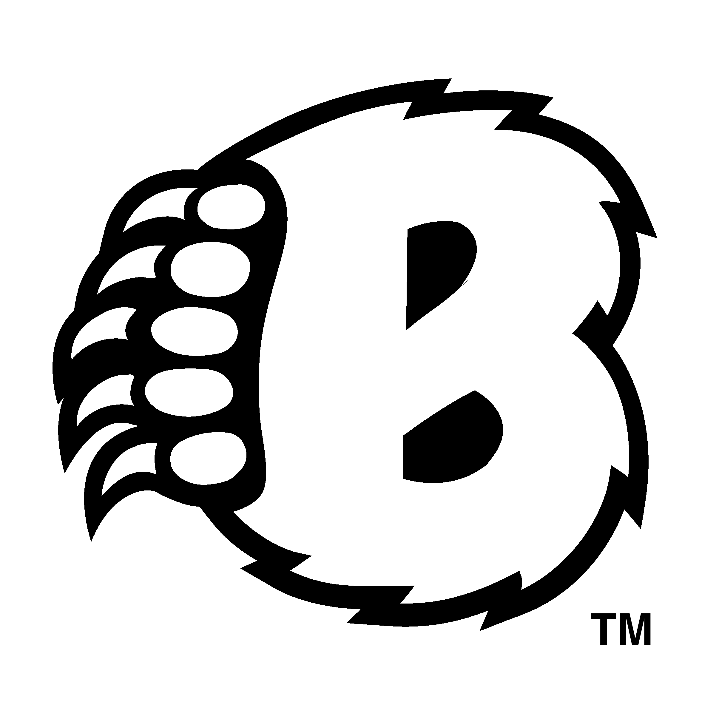 Baylor Logo PNG Image - PNG All | PNG All