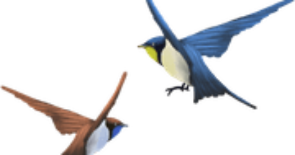 Bird Flying Background PNG