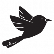 Bird Flying PNG Background