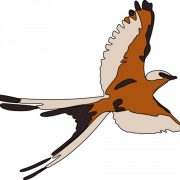 Bird Flying PNG Clipart