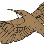 Bird Flying PNG Image