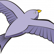 Bird Flying PNG Picture
