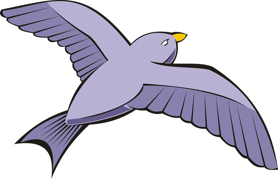 Bird Flying PNG Picture