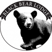 Black Bear PNG Background