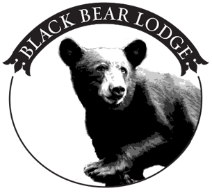Black Bear PNG Background