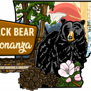 Black Bear PNG HD Image