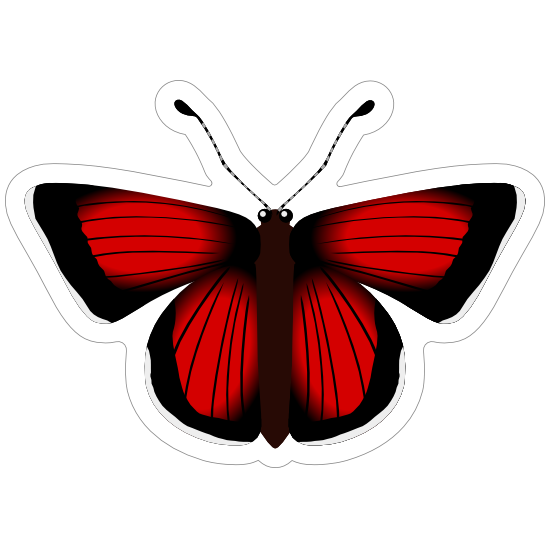 Black Butterfly PNG Picture