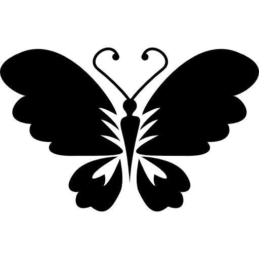 Black Butterfly PNG