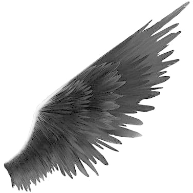 Black Wings PNG Clipart