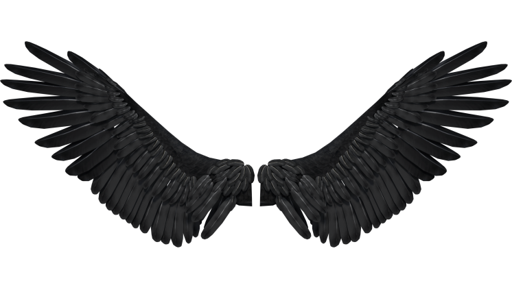 Black Wings PNG Cutout