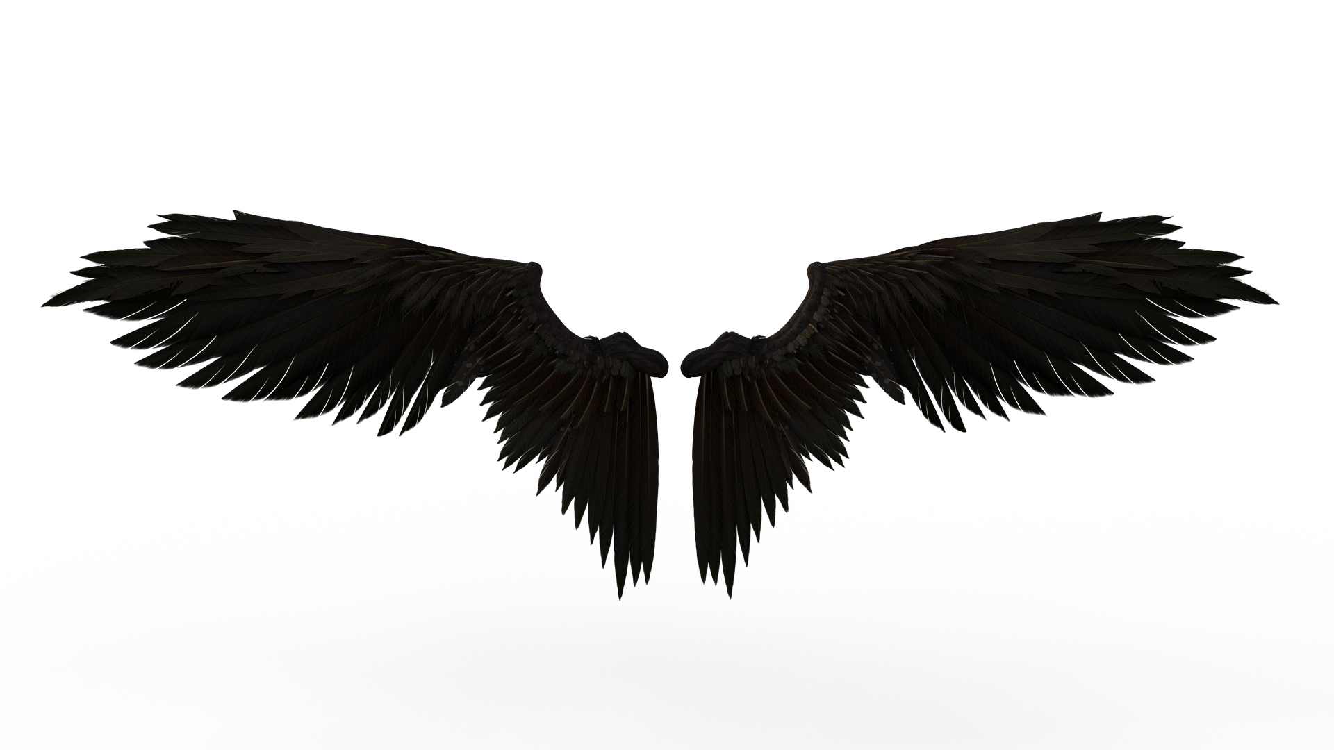 Black Wings PNG File