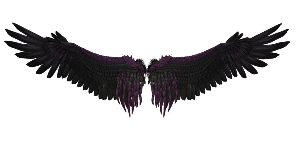 Black Wings PNG Free Image