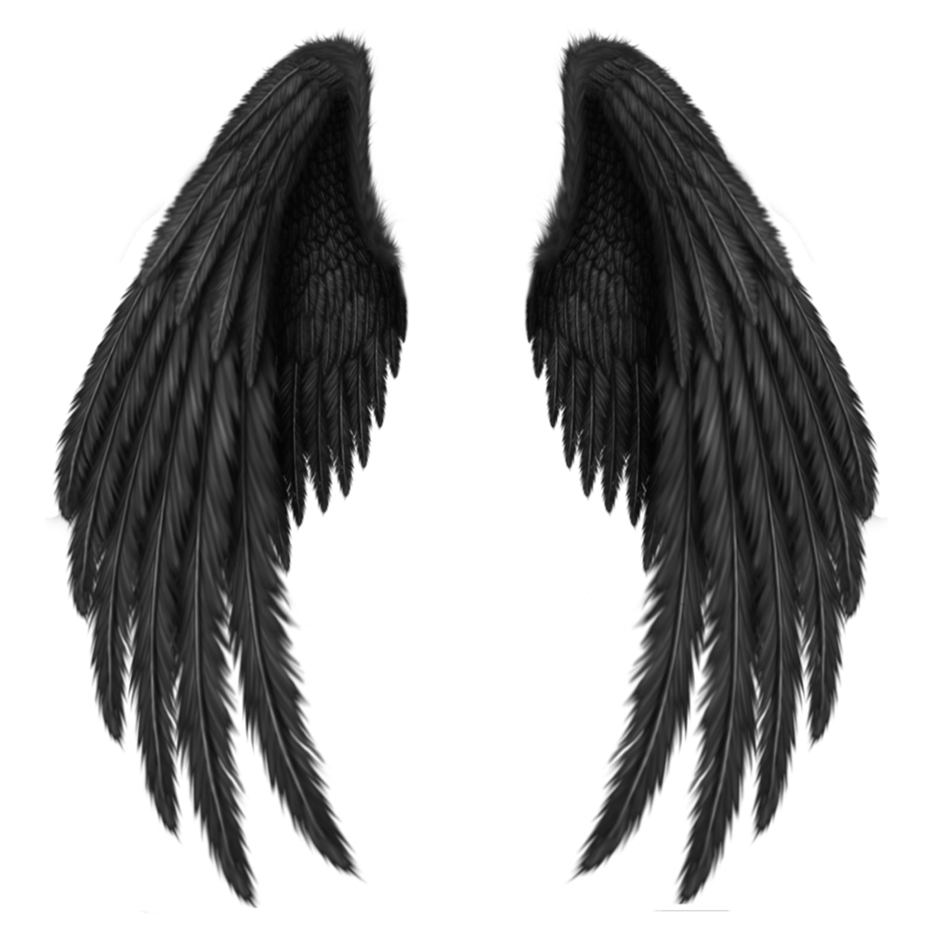 Black Wings PNG HD Image